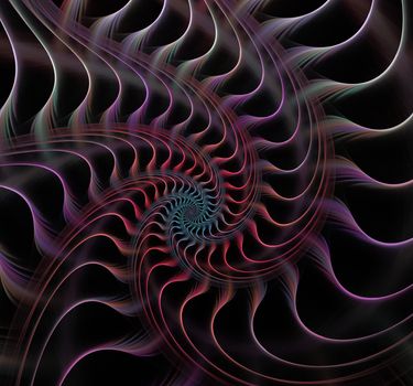 Great spiral shell abstract fractal black background