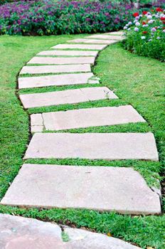 walkway in the  garden