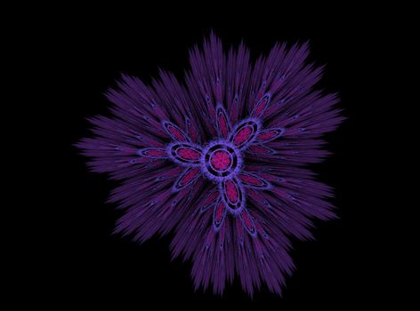 Abstract fractal prickly flower purple black background