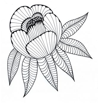 Peony graphic drawing Liner black and white drawing