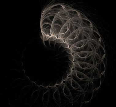 Fractal abstraction on a black background, like a shell, similar to the spine