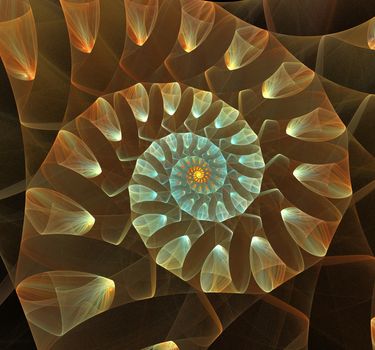 Great spiral shell abstract fractal black background