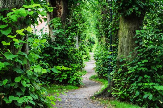 Footpath through the Barbarossa Wall in Dusseldorf Kaiserswerth.