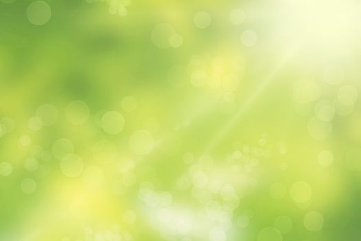 Glittering bokeh lights on a green background