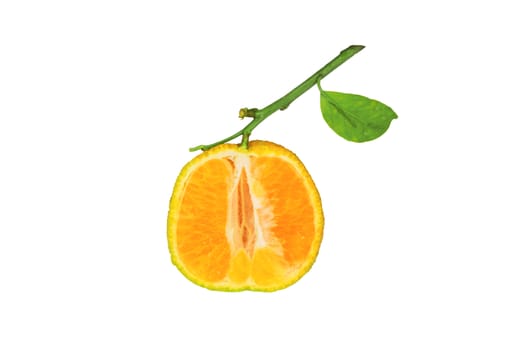 Orange clementine with a green leaf isolated on white background