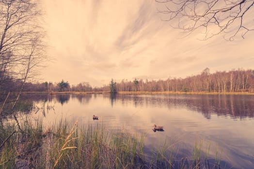 Idyllic lake scenery with lure ducks in the autumn