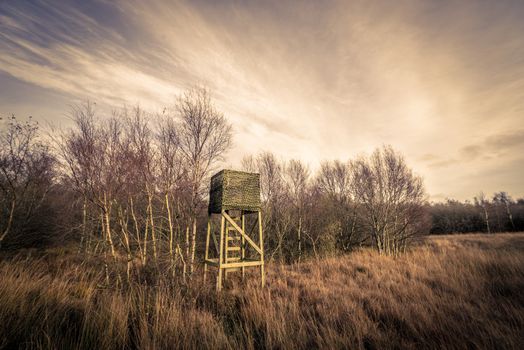 Hunting tower in rough nature in autumn