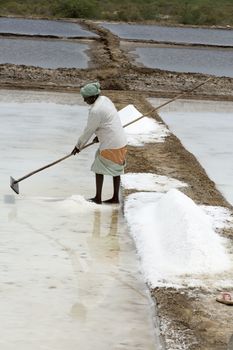 Agricultur wokers in salt field, India Tamil Nadu Pondicherry aera.