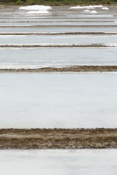 Agricultur wokers in salt field, India Tamil Nadu Pondicherry aera.