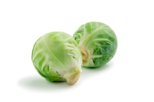 close up view of two heads of Brussels sprout on white back