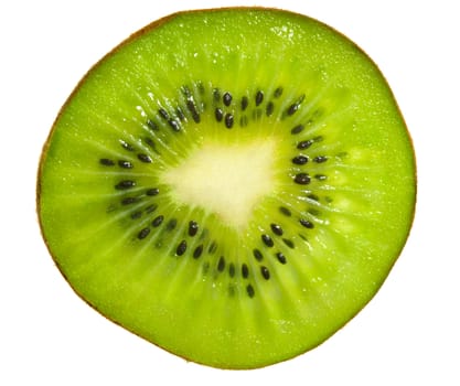 Slice of kiwi fruit. Isolated on white background.