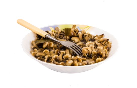 marinated mushrooms and fork in plate on white background