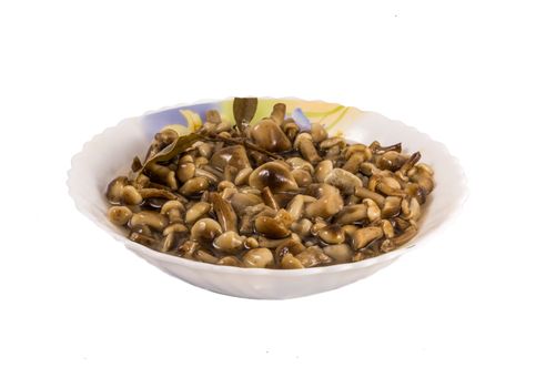 marinated mushrooms in plate on white background