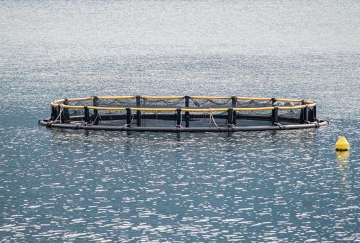 Big Cages for fish farming in Montenegro 