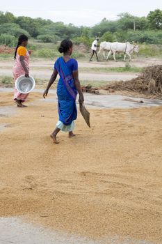 India, Tamil Nadu, Pondicherry aera. Rural life in small villages, poverty