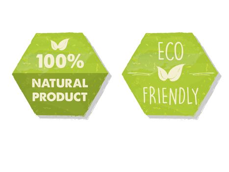 100 percent natural and eco friendly with leaf sign in green hexagons labels, bio ecology concept