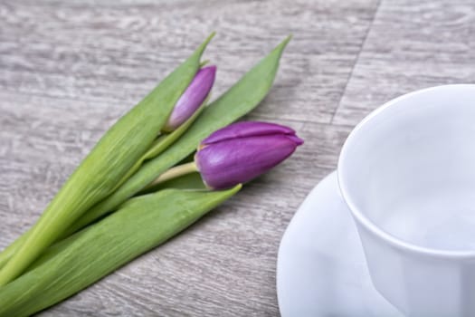 White cup and purple tulip on the wooden background