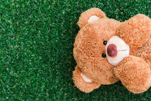 Cute teddy bear on green grass background