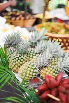 An pineapple is nature  fruit in soft light .