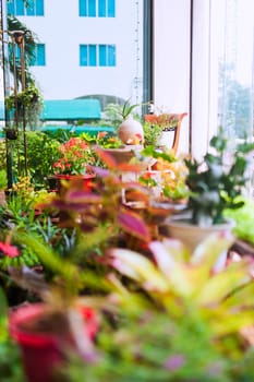 An Small place garden in soft light .