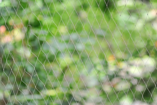 An Net background detail in soft light .