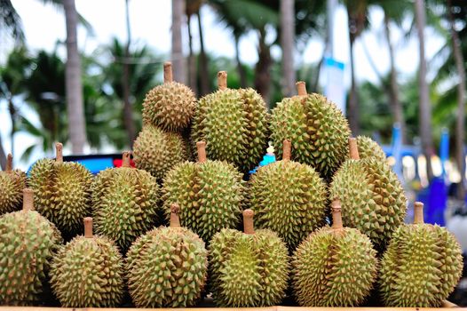 An Durian nature fruit in southeast asia .