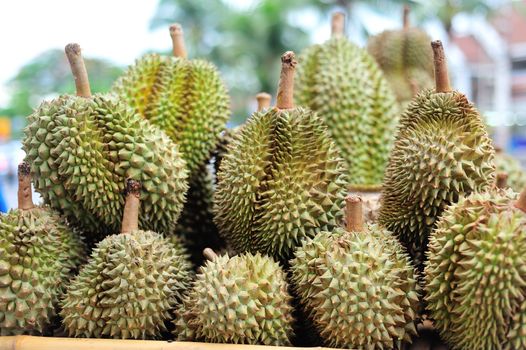 An Durian nature fruit in southeast asia .