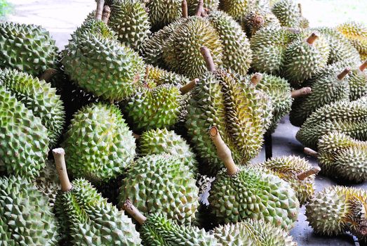 An Durian nature fruit in southeast asia .