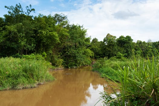 Canal pool of nature in sun light .