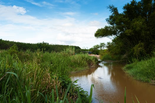 Canal pool of nature in sun light .