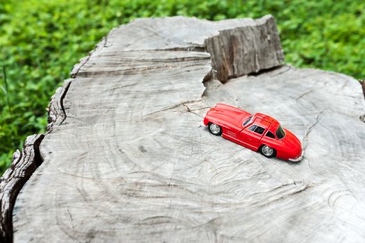 An Sport car model in nature place .