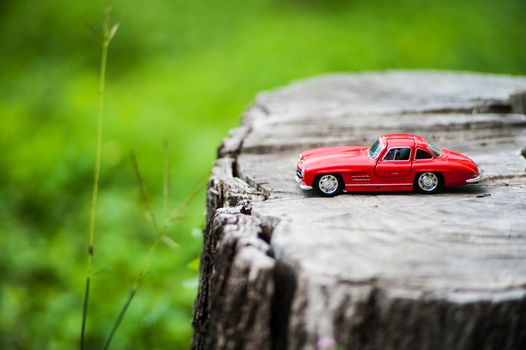 An Sport car model in nature place .