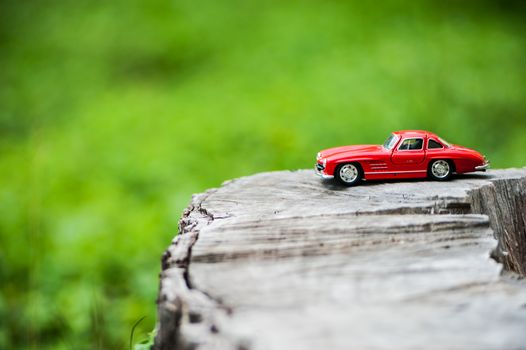 An Sport car model in nature place .