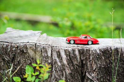 An Sport car model in nature place .