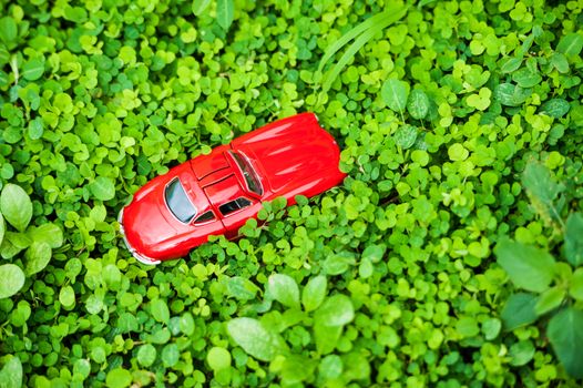 An Sport car model in nature place .