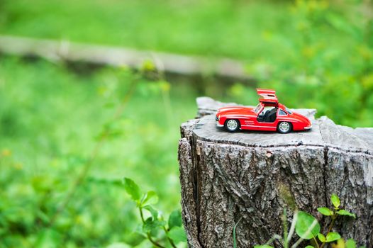 An Sport car model in nature place .