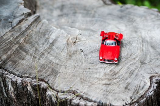 An Sport car model in nature place .