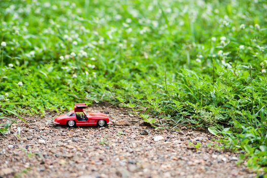 An Sport car model in nature place .