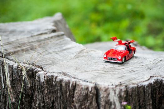 An Sport car model in nature place .