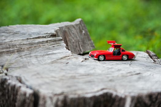 An Sport car model in nature place .