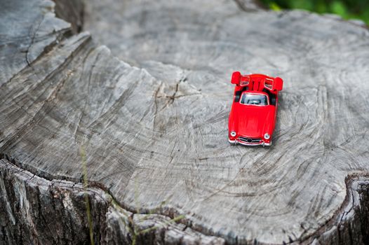 An Sport car model in nature place .