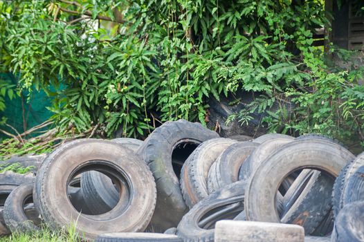 An Old tires in soft light .