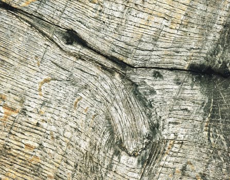abstract background or texture Detail of an old wooden board