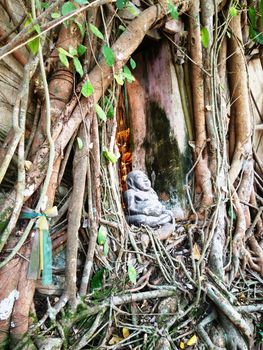 Bang Kung Camp (Church Prok Pho), SAMUT SONGKHRAM, THAILAND