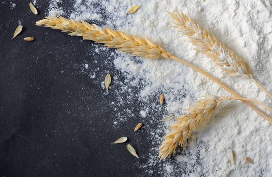 whole flour and wheat ears on black board