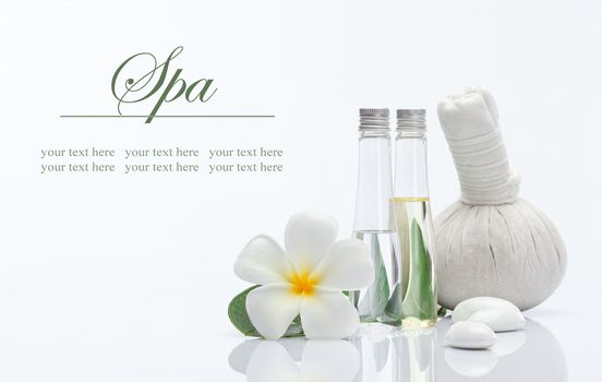 spa theme object on white background. banner. lots of copy space.