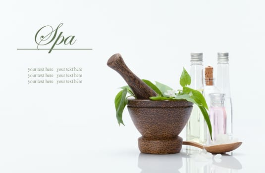 spa theme object on white background. banner. lots of copy space.