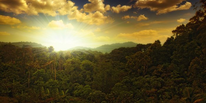 panoramic view of nice tropical sunset over jungle hills