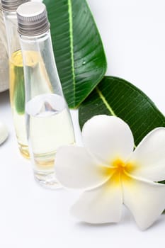 Close up view of spa theme objects on white background