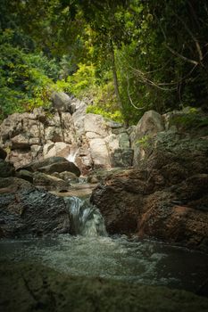 panoramic view of nice tropic jungle and huge boulders